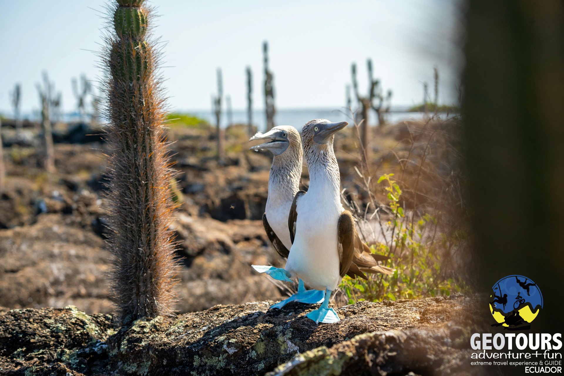 Islas Galápagos